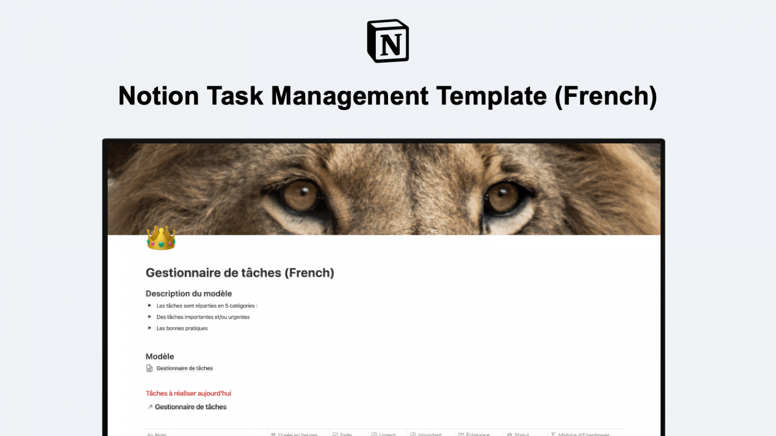 notion template dashboard