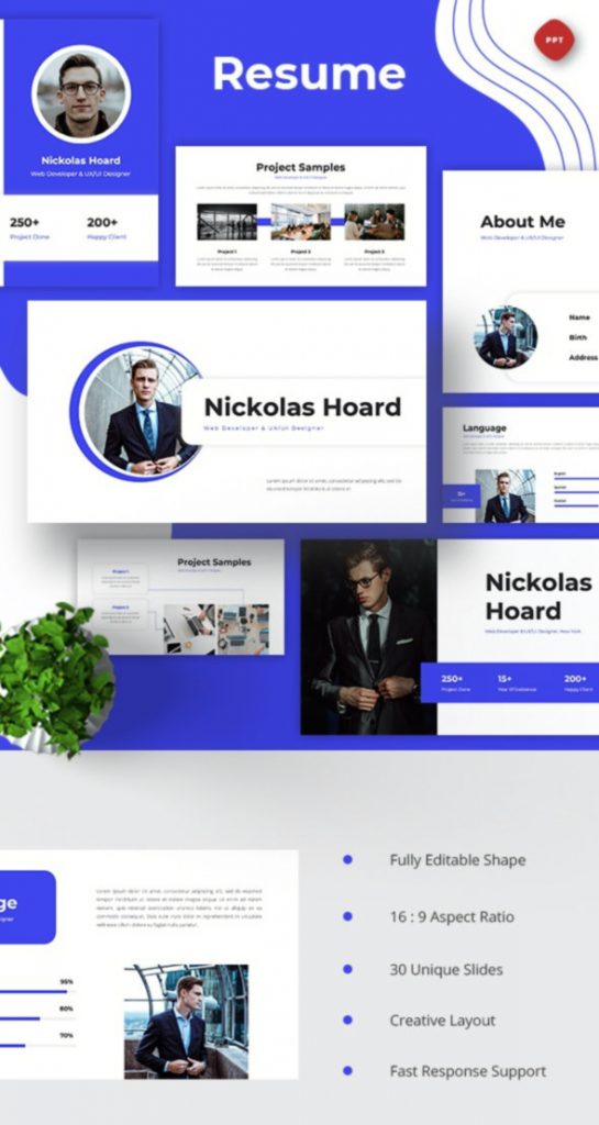Resume Web Developer & UX/UI Designer Powerpoint