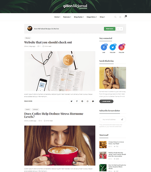 Gillion | Multi-Concept Blog/Magazine & Shop WordPress AMP Theme -Fastest AMP WordPress theme